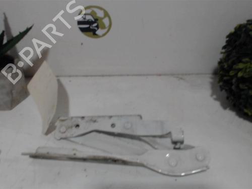 Hinge/Door check strap VW EOS (1F7, 1F8) 1.4 TSI | BP25394396C146 