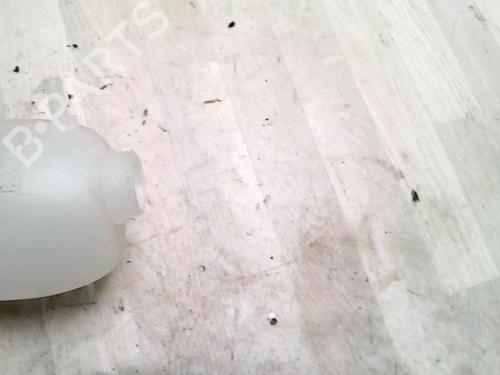 Expansion tank RENAULT SCÉNIC I MPV (JA0/1_, FA0_) 1.9 dCi (JA05, JA1F) | BP26545445C120 