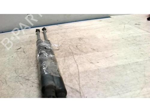 Tailgate lift support RENAULT CLIO III (BR0/1, CR0/1) 1.2 16V (BR02, BR0J, BR11, CR02, CR0J, CR11) | BP25424298C138 