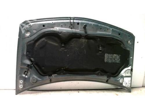 Hood RENAULT MEGANE II (BM0/1_, CM0/1_) 1.9 dCi | BP25428160C1 
