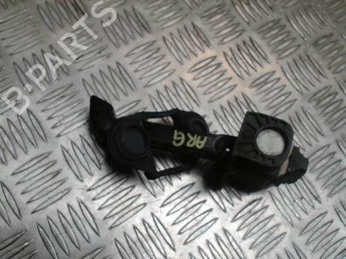 Hinge/Door check strap BMW 3 (E90) 330 d | BP31222541C146