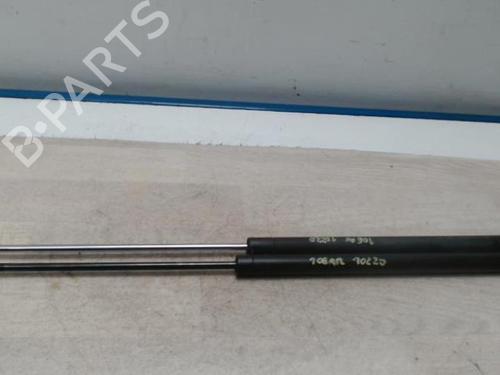 Tailgate lift support PEUGEOT 106 II (1A_, 1C_) 1.4 i | BP28106004C138 