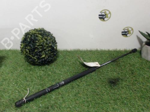 Used Tailgate lift support PEUGEOT 106 I (1A, 1C) 1.4 D (50 hp) 25401307