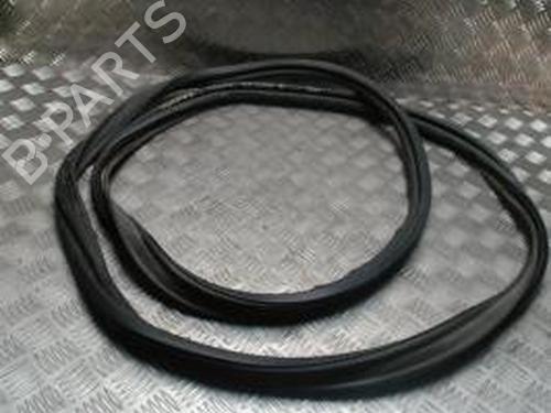 Gomma contorno porta RENAULT SCÉNIC III (JZ0/1_) 1.6 dCi (JZ00, JZ12) (130 hp) 30948832