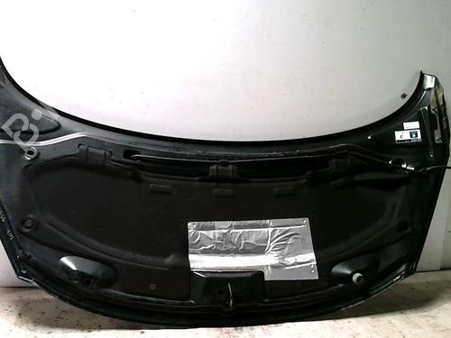 Capot PEUGEOT 207 (WA_, WC_) 1.6 16V VTi (120 hp) 25431331