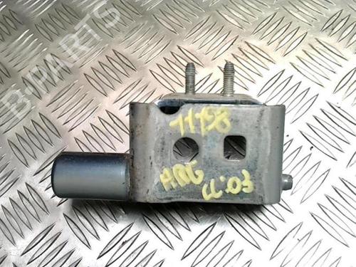 Hinge/Door check strap RENAULT CLIO III (BR0/1, CR0/1) 1.2 16V (BR0P, CR0P) | BP25774641C146 