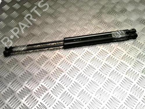 Tailgate lift support RENAULT MEGANE IV Grandtour (K9A/M/N_) 1.5 Blue dCi 115 (K9A6) | BP25841237C138 