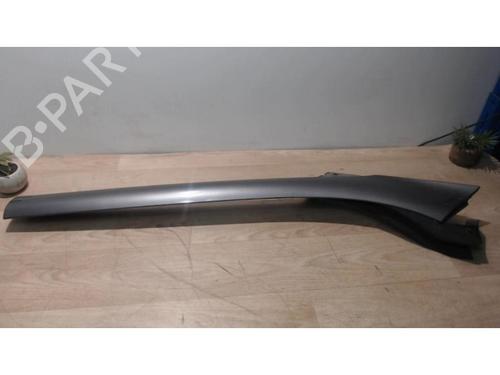 Scuttle panel RENAULT SCÉNIC III (JZ0/1_) 1.5 dCi | BP25386118C110 