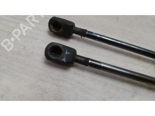 Tailgate lift support FORD FIESTA VI (CB1, CCN) 1.4 TDCi | BP25420614C138 