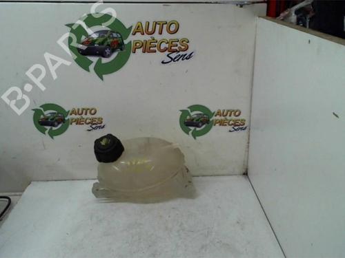 Used Expansion tank RENAULT CLIO IV (BH_) 1.5 dCi 75 (75 hp) 25401193