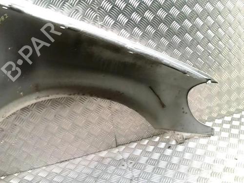 Left front fenders MERCEDES-BENZ M-CLASS (W163) ML 270 CDI (163.113) | BP29687515C41 
