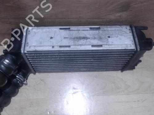 Intercooler CITROËN XSARA PICASSO (N68) 1.6 | BP25384766M30
