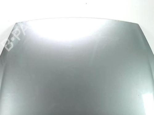 Hood FIAT GRANDE PUNTO (199_) 1.3 D Multijet | BP28021271C1