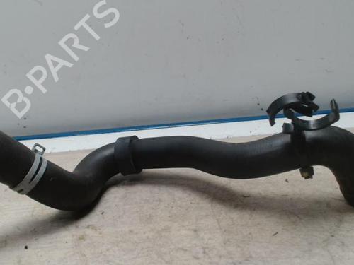 Rør DACIA LODGY (JS_) 1.5 dCi (JSMC, JSAF) (107 hp) 31225119