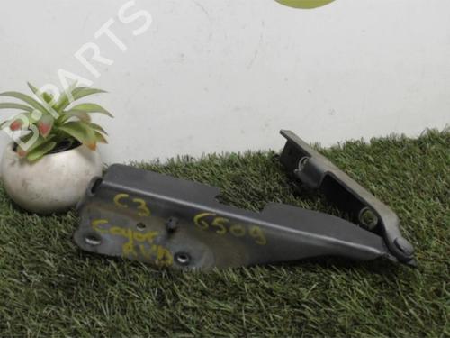 Used Hinge/Door check strap CITROËN C3 Pluriel (HB_) 1.6 (109 hp) 25393950