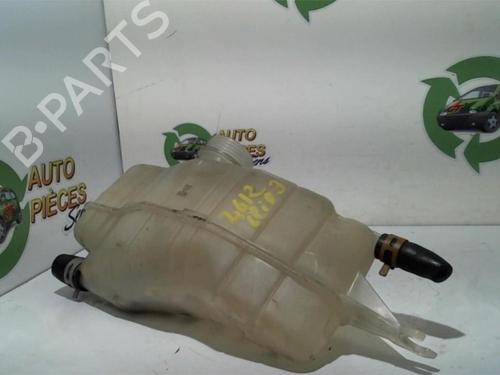 Expansion tank RENAULT CLIO III (BR0/1, CR0/1) 1.2 16V (BR02, BR0J, BR11, CR02, CR0J, CR11) | BP25400146C120 