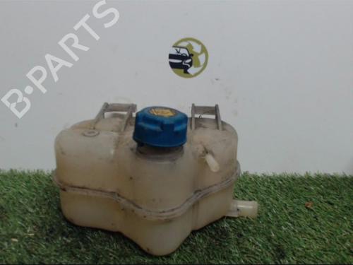 Expansion tank FIAT GRANDE PUNTO (199_) 1.9 D Multijet | BP25397357C120
