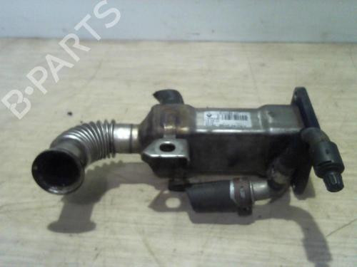 Egr RENAULT GRAND SCÉNIC II (JM0/1_) 1.9 dCi (JM14) | BP31218746M69