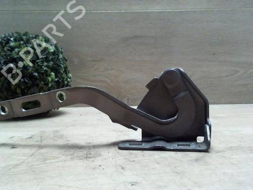 Used Hinge/Door check strap LANCIA MUSA (350_) 1.3 D Multijet (350.AXB11, 350.AXB1A) (70 hp) 25410098
