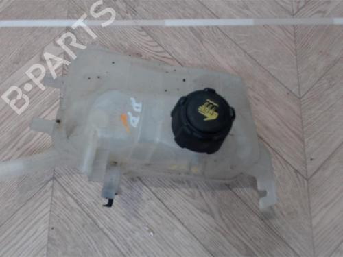 Used Expansion tank RENAULT MEGANE CC (EZ0/1_) 1.6 dCi (EZ00) (130 hp) 25388854