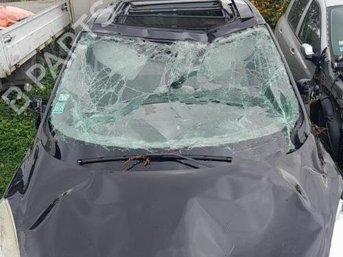 Front left panel RENAULT GRAND SCÉNIC III (JZ0/1_) 2.0 dCi (JZ0L) | BP28055113C58 