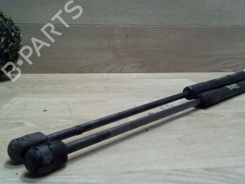 Tailgate lift support DACIA SANDERO 1.2 16V | BP25402435C138