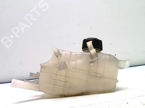 Used Expansion tank RENAULT SCÉNIC III (JZ0/1_) 1.5 dCi (110 hp) 31231843