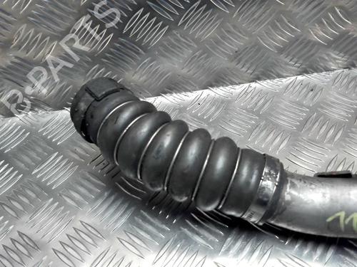 Pipe RENAULT CLIO III (BR0/1, CR0/1) 1.5 dCi (BR17, CR17) | BP25429334M125