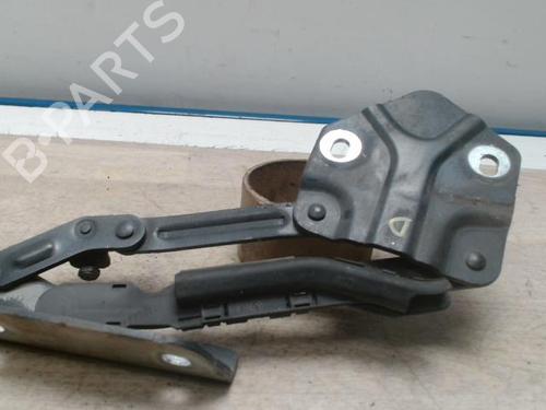 Hinge/Door check strap VW TOURAN (1T1, 1T2) 2.0 TDI 16V | BP25421749C146