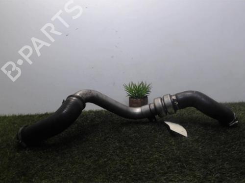 Pipe RENAULT SCÉNIC II (JM0/1_) 1.9 dCi (JM0G, JM12, JM1G, JM2C) | BP25391218M125 