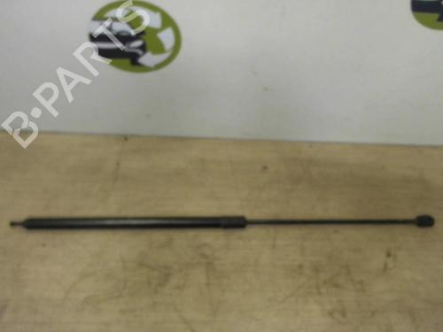 hood-lift-support-renault-megane-iii-coupe-dz01_-2008-2009-2010-2011-2012-2013-2014-2015-2016-25415034 main image