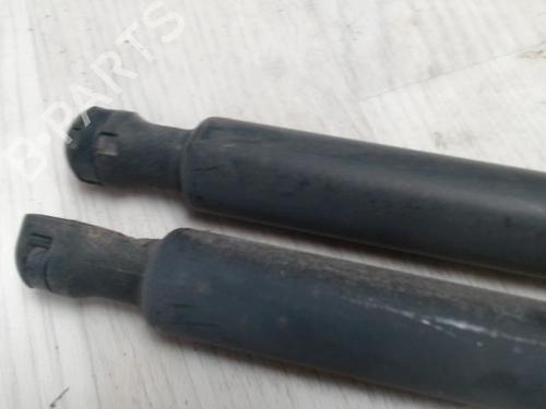 Used Tailgate lift support RENAULT KANGOO Express (FW0/1_) 1.5 dCi 85 (FW0K, FW0L, FW0B) (86 hp) 31230632