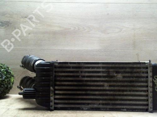 Intercooler CITROËN JUMPY II Van 1.6 HDi 90 16V (90 hp) 25413628