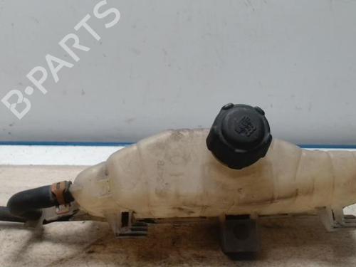 Used Expansion tank RENAULT CLIO III (BR0/1, CR0/1) 1.5 dCi (BR17, CR17) (86 hp) 28012096