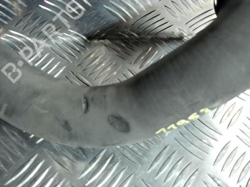 Pipe RENAULT SCÉNIC II (JM0/1_) 1.5 dCi (JM1E, JM16) | BP31231694M125