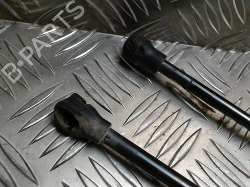 Tailgate lift support RENAULT CLIO V (B7_) 1.5 Blue dCi 85 (B7AG) | BP31230027C138