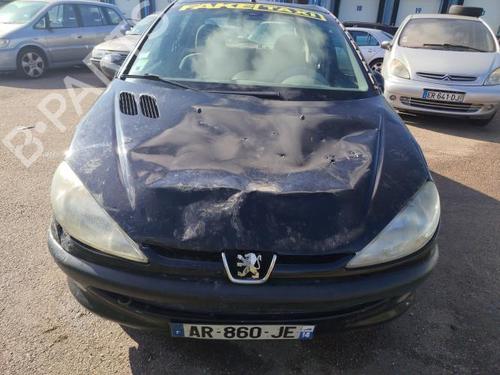 Seat buckle PEUGEOT 206 Hatchback (2A/C) 1.6 i | BP25923859I32 