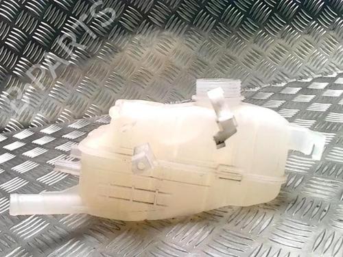 Expansion tank RENAULT MEGANE III Hatchback (BZ0/1_, B3_) 1.5 dCi (BZ1G, BZ1W, BZ0R) | BP29415694C120 