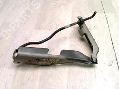 Used Hinge/Door check strap CITROËN C3 I (FC_, FN_) 1.4 HDi (70 hp) 25426668