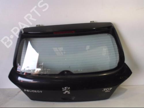 Used Tailgate PEUGEOT 307 (3A/C) 2.0 HDi 90 (90 hp) 25398498
