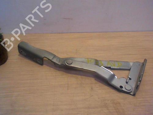 Used Hinge/Door check strap CITROËN C8 (EA_, EB_) 2.2 HDi (128 hp) 25392540