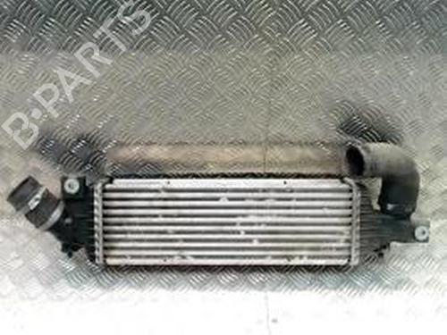 Used Intercooler NISSAN PRIMERA Hatchback (P12) 1.9 dCi (116 hp) 25429923