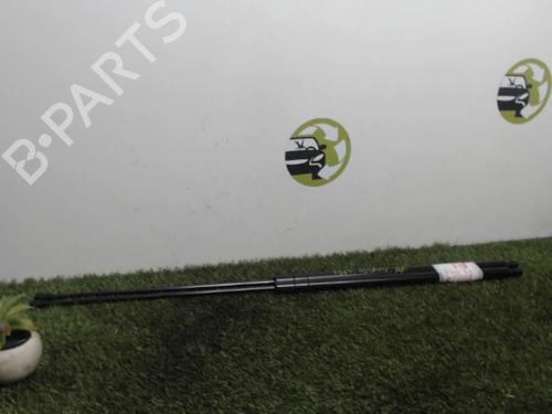 tailgate-lift-support-seat-toledo-iii-5p2-2004-2005-2006-2007-2008-2009-25393831 main image