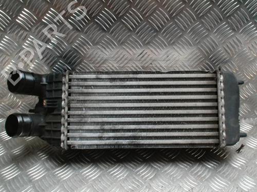 Intercooler PEUGEOT 207 SW (WK_) 1.6 HDi (92 hp) 31234818