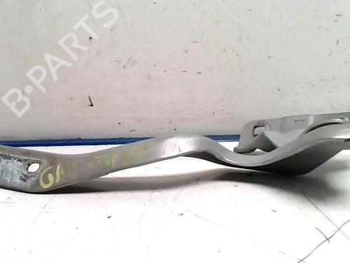 Hinge/Door check strap NISSAN QASHQAI I (J10, NJ10) 2.0 dCi | BP31227467C146