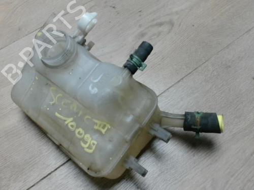 Expansion tank RENAULT SCÉNIC III (JZ0/1_) 1.5 dCi | BP29053003C120 