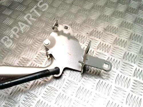 Hinge/Door check strap RENAULT GRAND SCÉNIC III (JZ0/1_) 1.4 16V (JZ0F) | BP25774594C146 