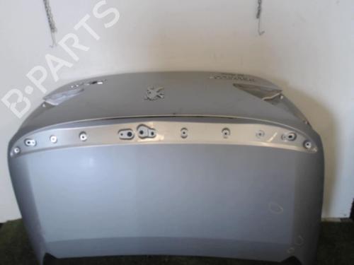 Tailgate PEUGEOT 307 CC (3B) 2.0 16V | BP30101671C6