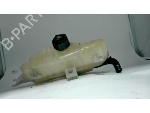 Expansion tank RENAULT CLIO III Grandtour (KR0/1_) 1.5 dCi (KR0F) | BP25430874C120 