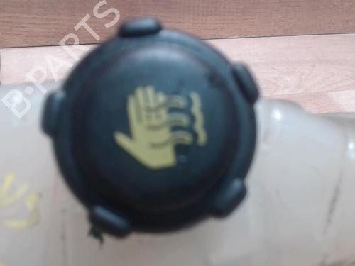 expansion-tank-renault-modus-grand-modus-fjp0_-2004-25385396 main image